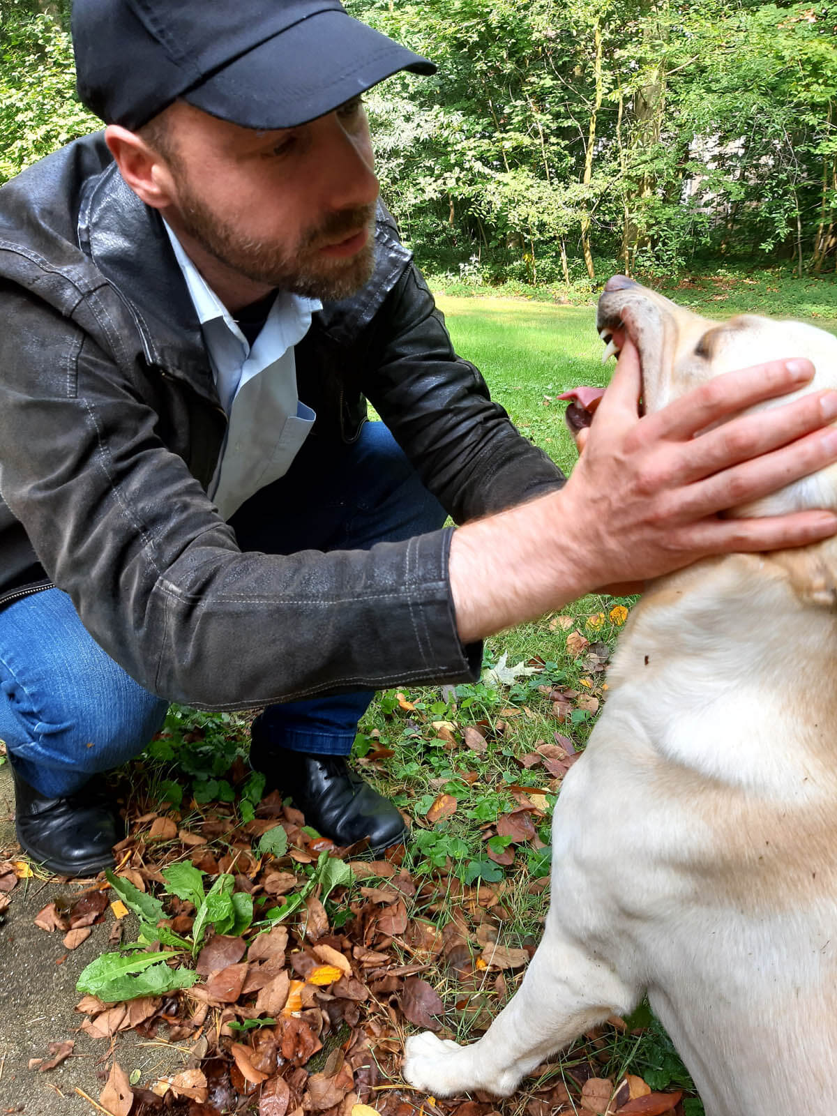 Tierheilpraktiker Sebastian Tatsch